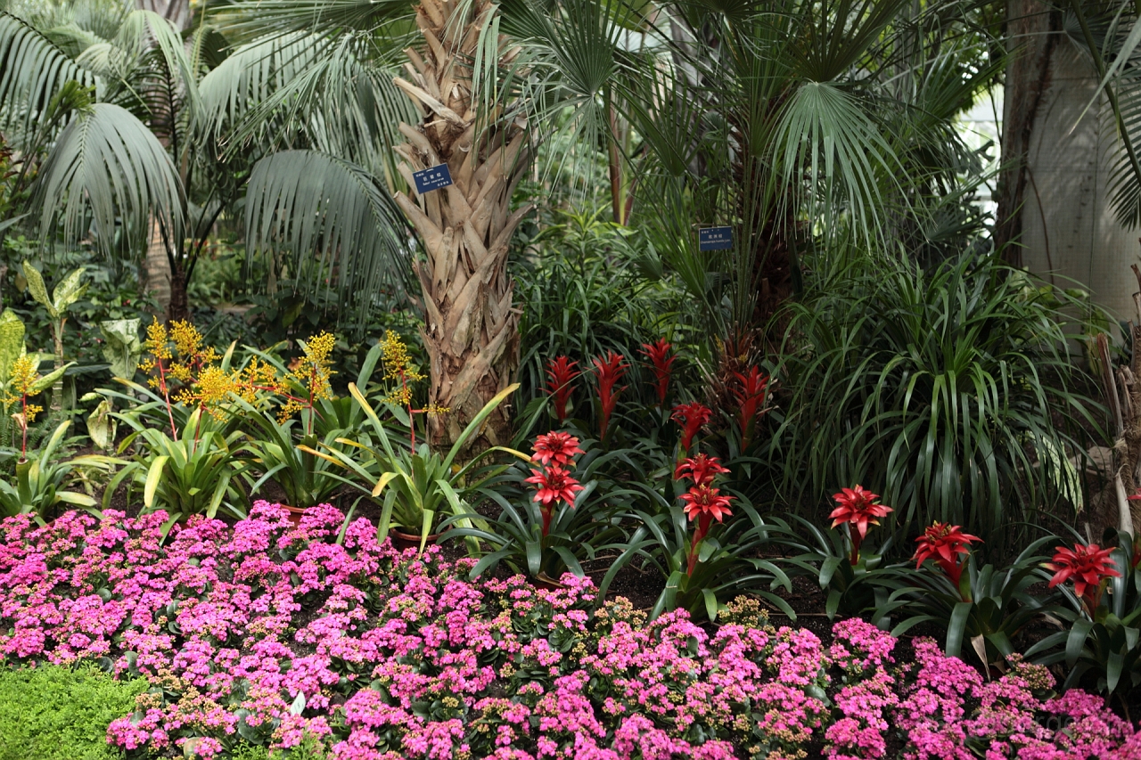 EOS 5D Mark II16_04_20135001.JPG